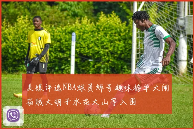 美媒评选NBA球员绰号趣味榜单大闸窃贼大胡子水花大山等入围