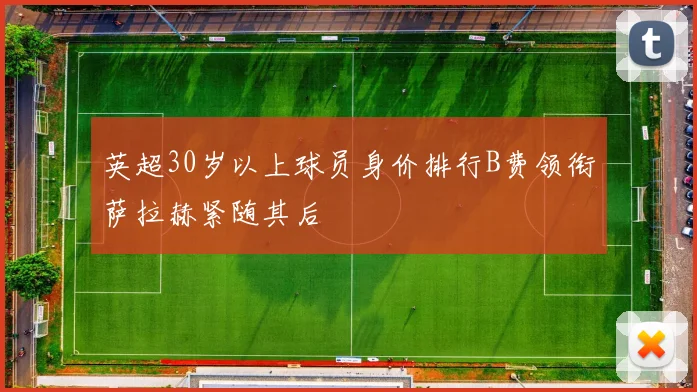 英超30岁以上球员身价排行B费领衔萨拉赫紧随其后