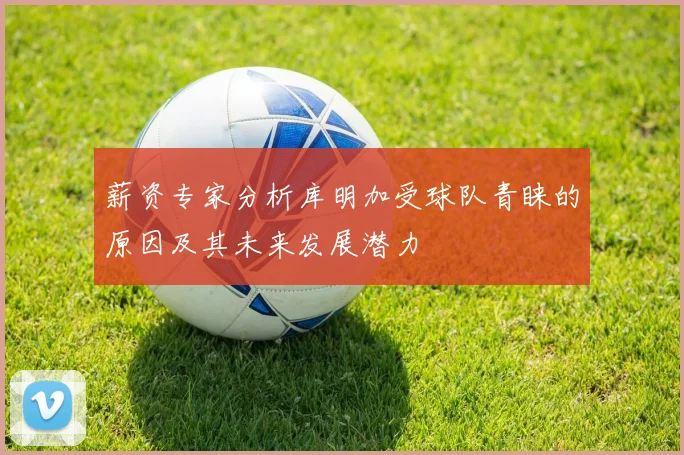 薪资专家分析库明加受球队青睐的原因及其未来发展潜力