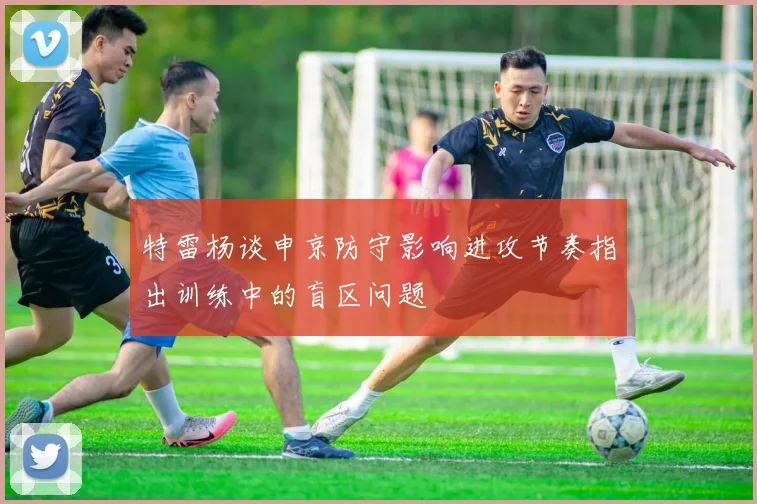 特雷杨谈申京防守影响进攻节奏指出训练中的盲区问题